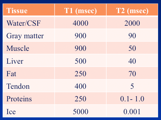 relaxation-time-t1-t2-questions-and-answers-in-mri