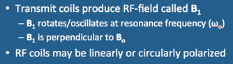 MR radiofrequency RF coil