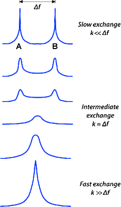 chemical exchange spectra, NMR