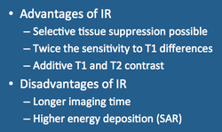 Inversion Recovery (IR) Sequence